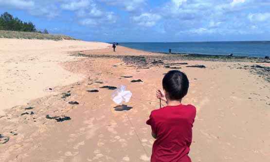 plage de Les portes en Ré