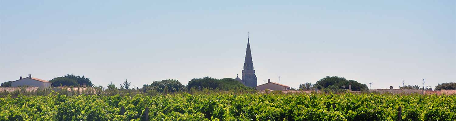 Sainte Marie de Ré camping