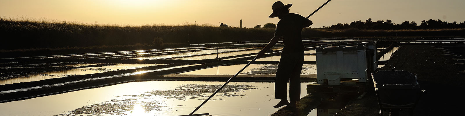 Visiter la Coopérative des Sauniers de l’Ile de Ré