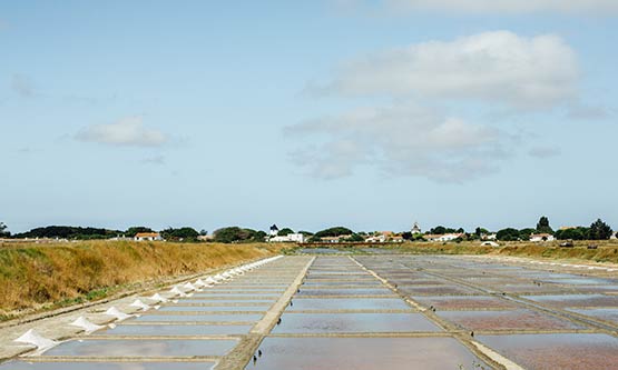 Coopérative des Sauniers Ile de Ré