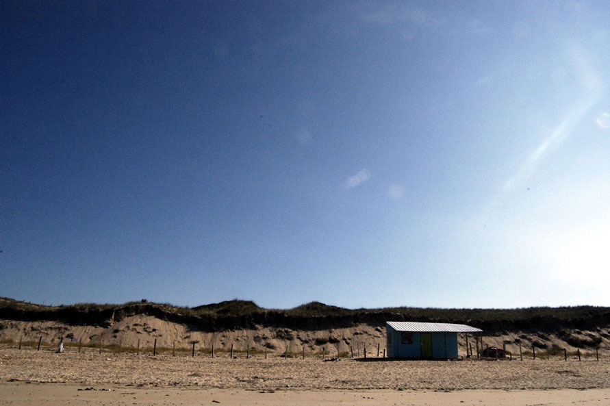 Bois plage près camping île Ré