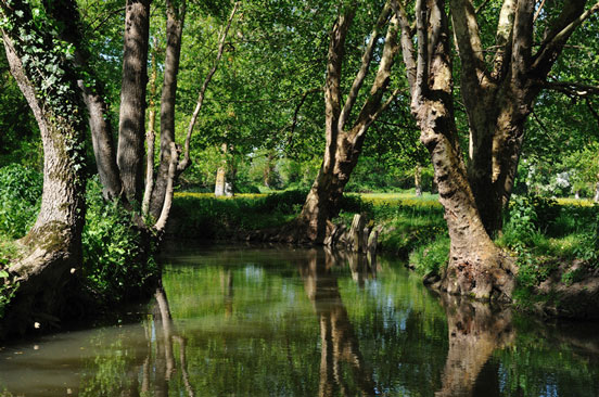 eau venise verte près camping île Ré