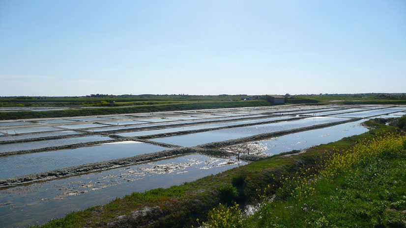 loix en Ré camping Varennes