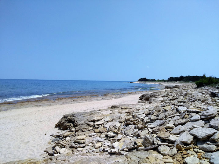 plage porte en Ré camping