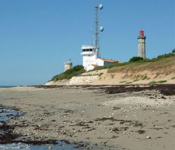 vignette phare des baleines