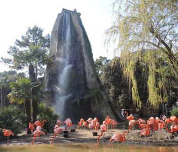 vignette zoo la palmyre