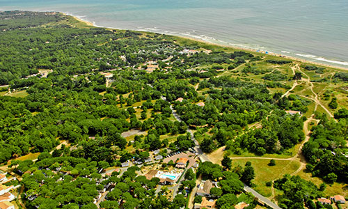 flore bord de mer camping Varennes