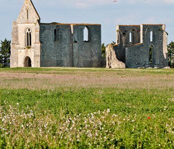 camping proche de la flotte en ré sur l'ile de ré