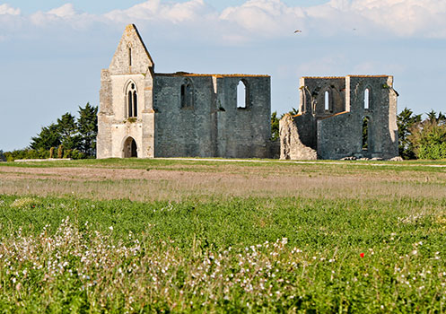 La flotte camping île Ré