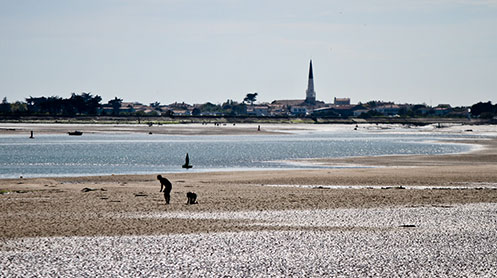 camping near ars en ré