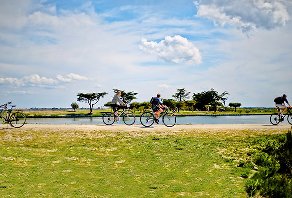 camping proche des pistes cyclables de l'île de ré