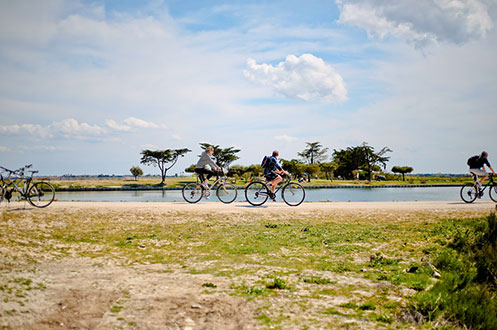 camping vélo la couard