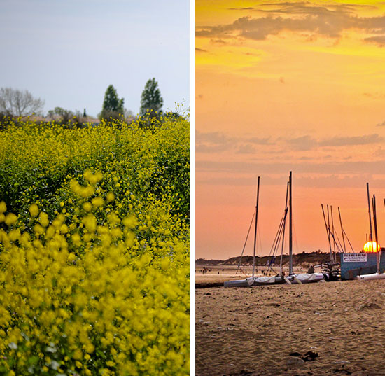 Camping familial île de Ré