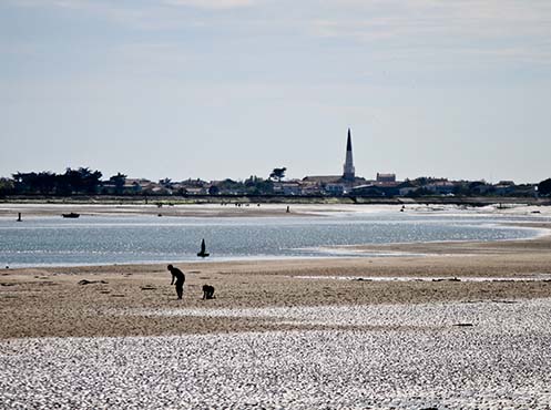 Vacances Ars en Ré