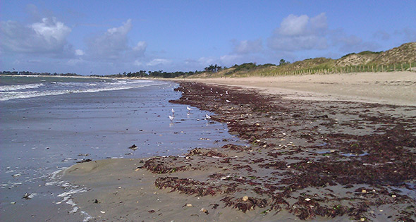 Plage La couarde sur mer