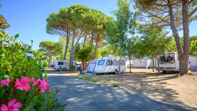 camping avec emplacement ile de ré